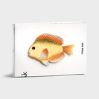 Tallrik fisk rainbow