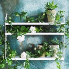 Pocket String Shelf, white