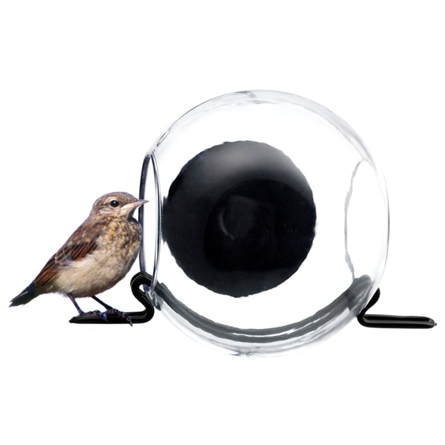 Bird feeder with suction cup