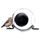 Bird feeder with suction cup