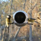 Bird feeder with suction cup