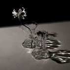 Vase Tulpe