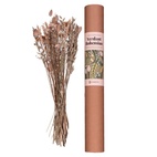 Torkade Blommor Verdant Bohemian