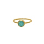 Ring Dear Guld Turkos 19 mm