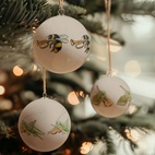 Weihnachtskugeln Frosch, Hummel, Grashüpfer 3er-Set