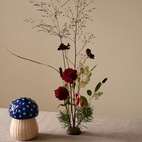 Blomsterfakir Dia 7 cm