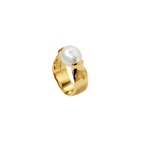 Ring Paxton Gull