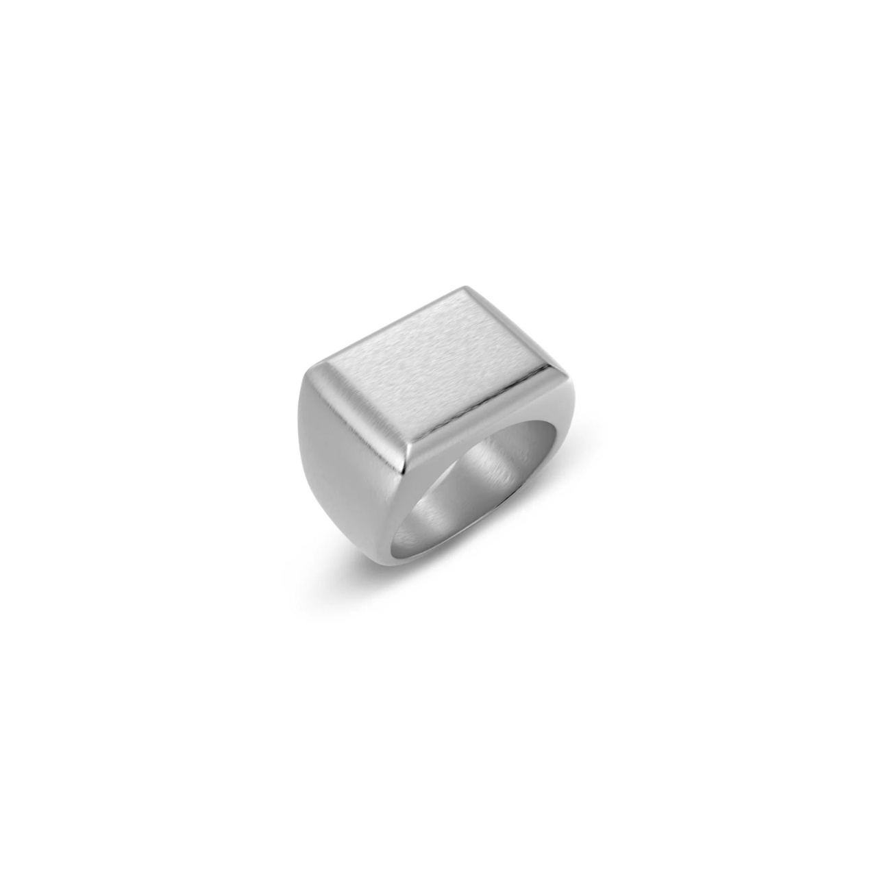 Ring Cole Signet Matt Stål