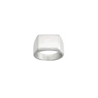 Ring Cole Signet Matt Stål