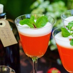 Bok Vilda drinkar - en smak av naturen