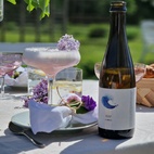 Bok Vilda drinkar - en smak av naturen