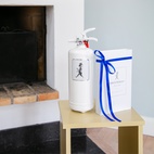 Brandsläckare vit/vit solstickan 2kg