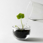 Växthus Grow Glas S