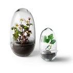 Växthus Grow Glas S