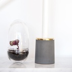 Växthus Grow Glas S