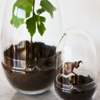 Växthus Grow Glas S