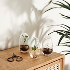 Växthus Grow Glas S