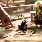 Växthus Grow Glas S