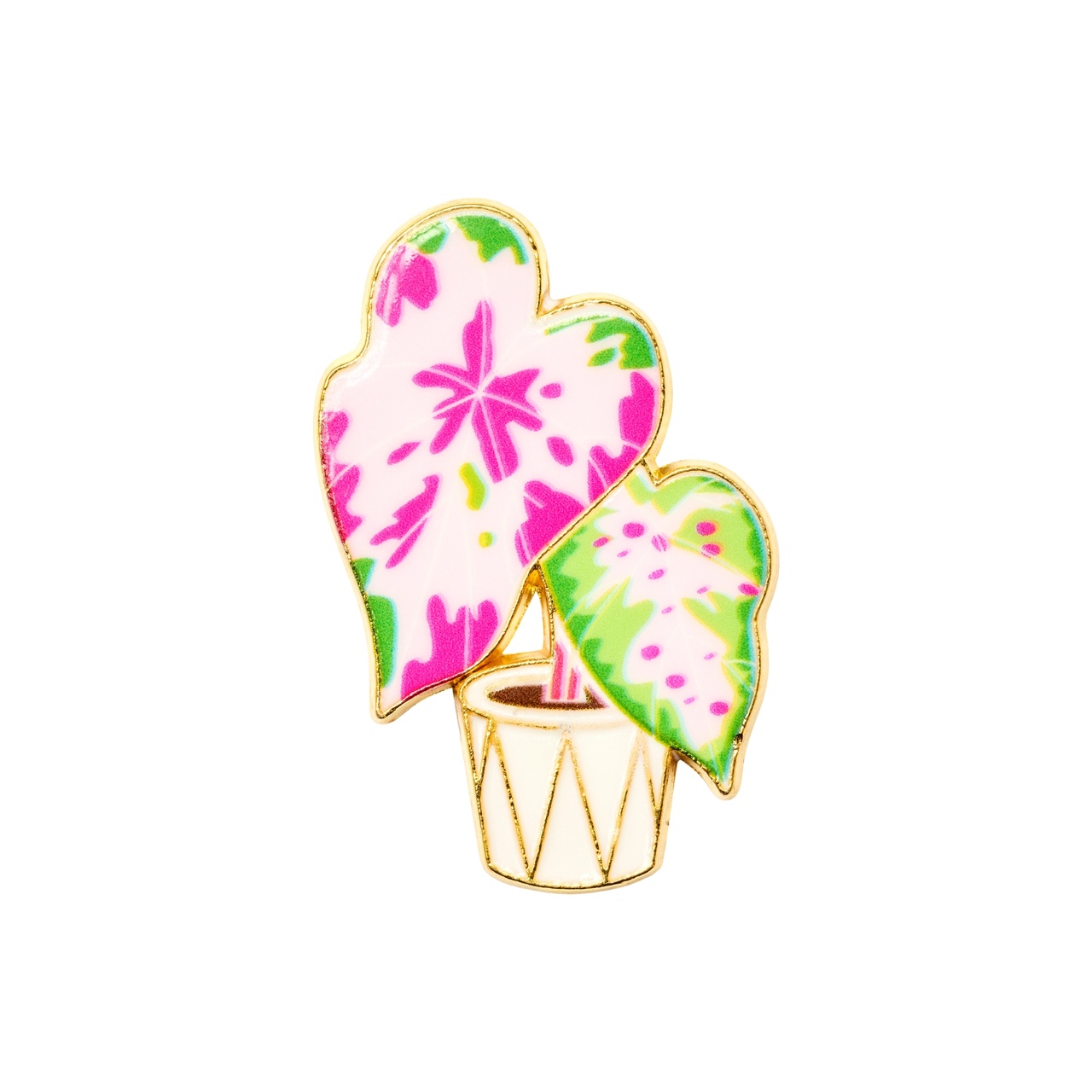 DRMZ Rosa Monstera
