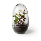 Drivhus Grow Glass M