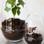 Drivhus Grow Glass M