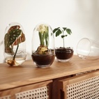 Drivhus Grow Glass M
