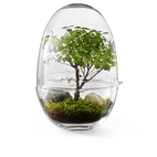 Grow Glass Greenhouse L