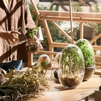 Grow Glass Greenhouse L