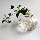 Vase Evelina groß