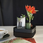 Mini-vase Stumpastaken 2-p