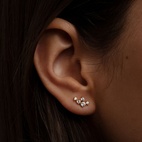 Örhängen Twinkle Silver