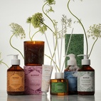 Hand & body wash Berså 250 ml Rosemary garden