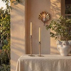 Vase Sea shell Off-white