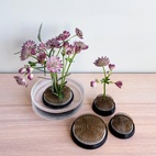 Blomsterfakir Dia 7 cm