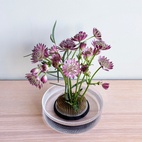 Blomsterfakir Dia 7 cm