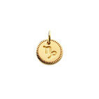 Berlock Beloved Zodie Capricorn Guld