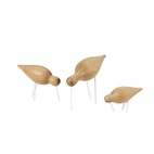 Fugl Shorebird Medium eik