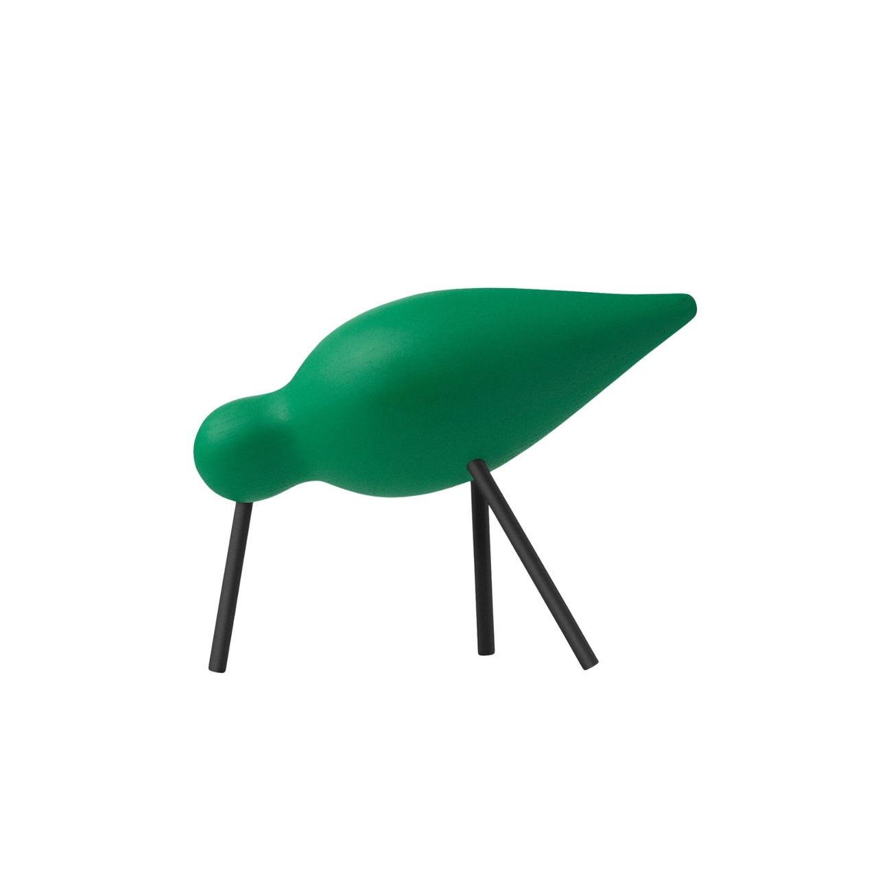 Fugl Shorebird Medium Grønn