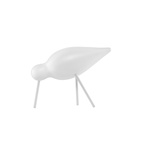 Fugl Shorebird Medium Hvit
