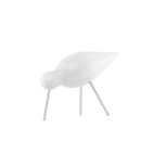 Fugl Shorebird Medium Hvit