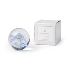 Paperweight Bleu Riddarsporre 8 cm