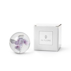 Paperweight Hydrangea 8 cm