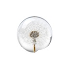 Paperweight Dandelion 8 cm