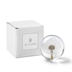Paperweight Dandelion 8 cm