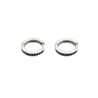 Örhängen Nano silver/svart