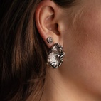 Örhänge Venus Shell Silver