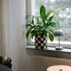 Bordlampe Opladelig Lova Blå