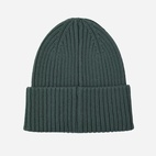 Lue North Dino Green