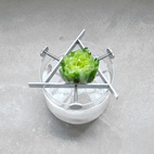 Växtställ Regrow Aluminium