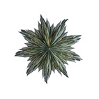 Helena Advent Star 44 cm Green